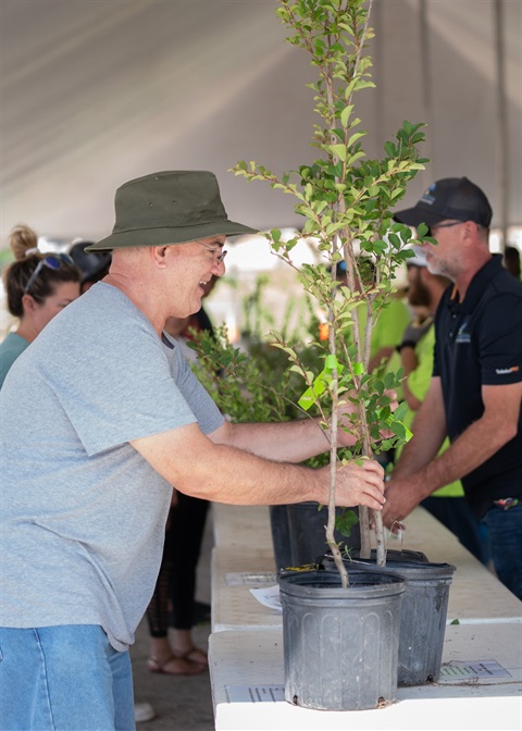 Tree, giveaway, arbor day, free trees